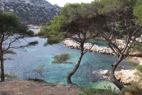 Mon Petit Paradis, Cassis Centre Apt 90 M2, 200 M Mer, Terr Plein Sud, Clim Park Prive Zewnętrze zdjęcie